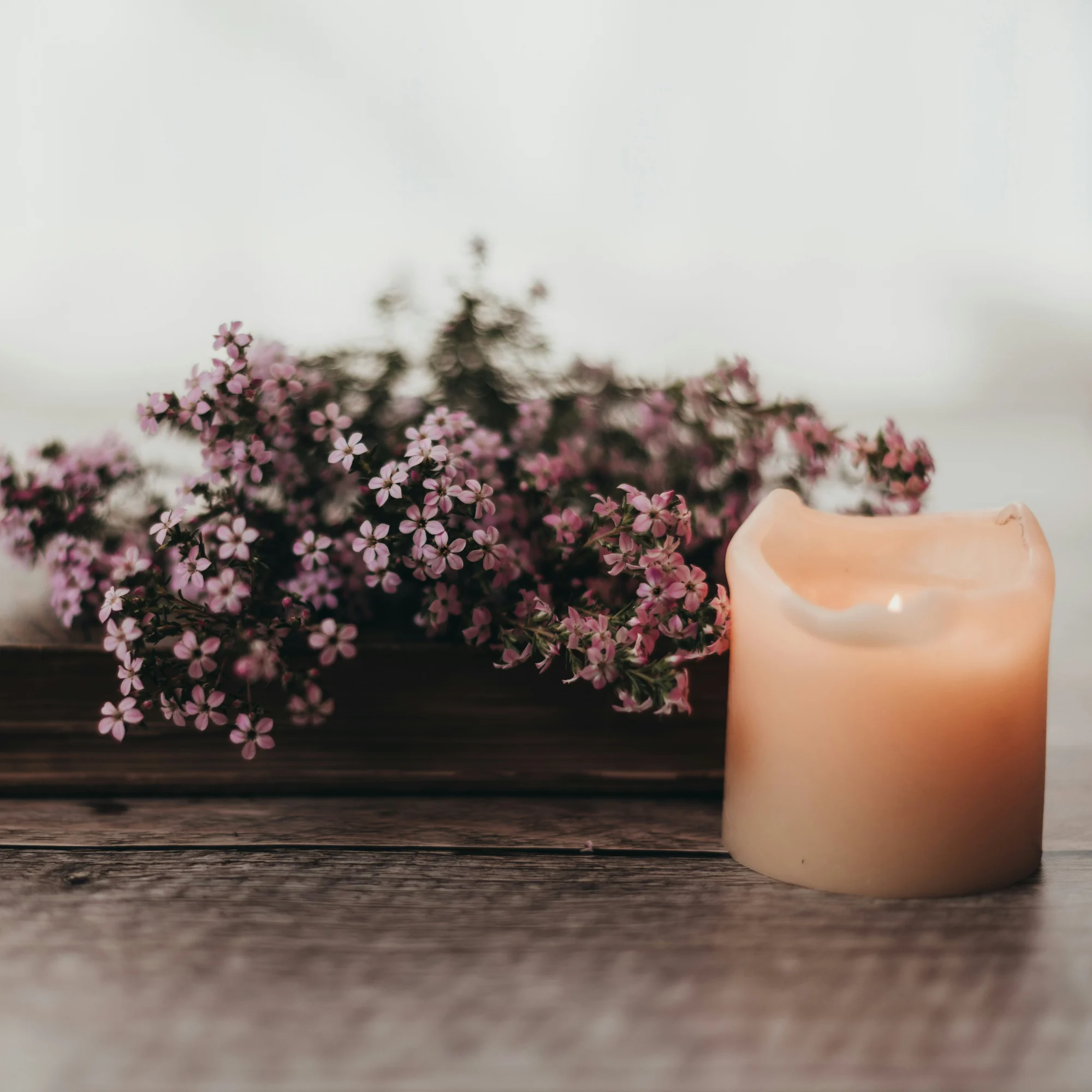 sixteen-miles-out-smk9EcNiGxE-unsplash